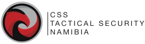 CSSLogo
